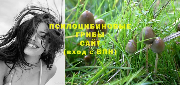 прущие грибы Лихославль