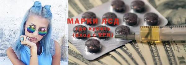 прущие грибы Лихославль