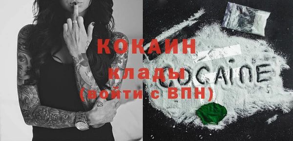 прущие грибы Лихославль