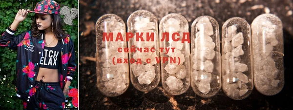 прущие грибы Магас